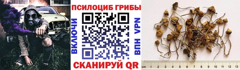 Галлюциногенные грибы ЛСД  hydra ссылка  Бодайбо  закладка 